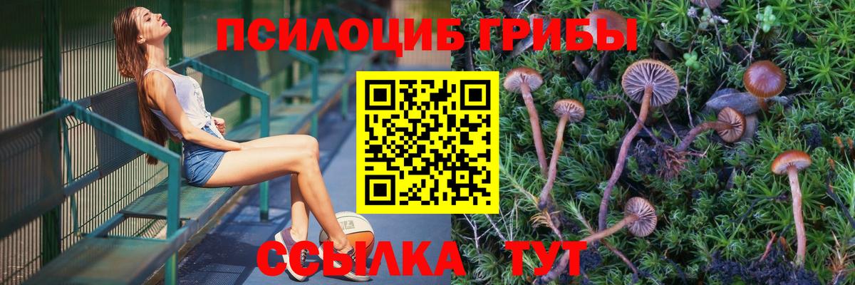 Домодедово  Псилоцибиновые грибы Cubensis  Галлюциногенные грибы мухоморы  Вход с VPN 