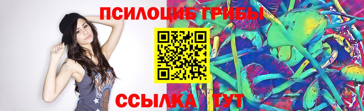 Галлюциногенные грибы GOLDEN TEACHER Домодедово